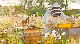 能提供检测报告的蜂蜜源头厂家去哪找？