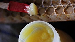 蜂王浆的使用方法有三种